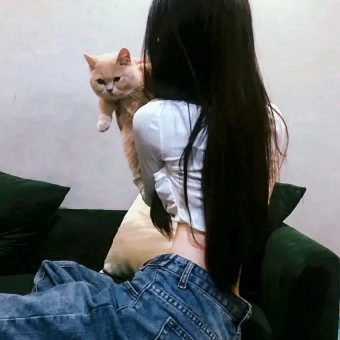 黑暗骑士